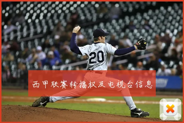 西甲联赛转播权及电视台信息